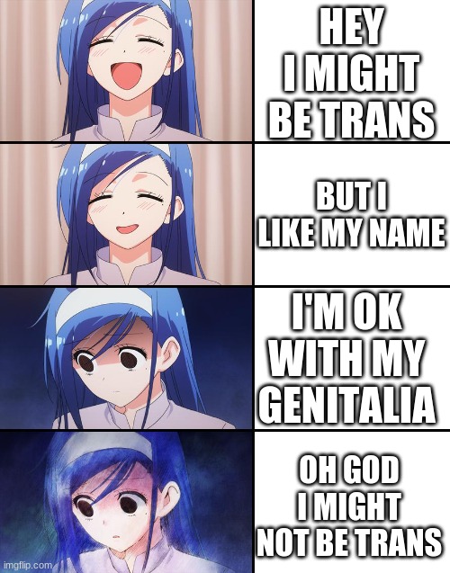 The dysphoria's kicking in | HEY I MIGHT BE TRANS; BUT I LIKE MY NAME; I'M OK WITH MY GENITALIA; OH GOD I MIGHT NOT BE TRANS | image tagged in happiness to despair | made w/ Imgflip meme maker