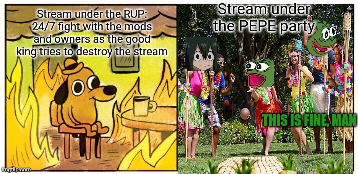 FIFY. Vote pepe party | Stream under the PEPE party; Stream under the RUP:
24/7 fight with the mods and owners as the good king tries to destroy the stream; THIS IS FINE, MAN | image tagged in memes,this is fine,vote,pepe,party | made w/ Imgflip meme maker