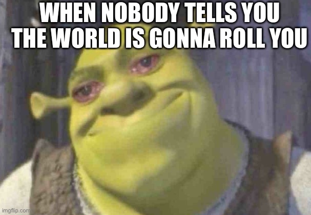 Rup | WHEN NOBODY TELLS YOU THE WORLD IS GONNA ROLL YOU | image tagged in crying shrek | made w/ Imgflip meme maker