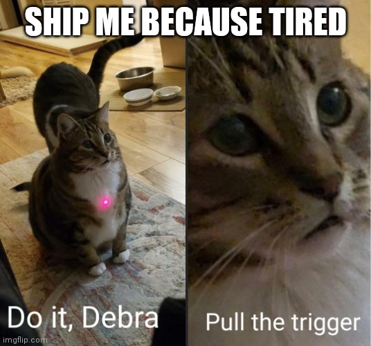 Idk | SHIP ME BECAUSE TIRED | image tagged in do it debra pull the trigger | made w/ Imgflip meme maker