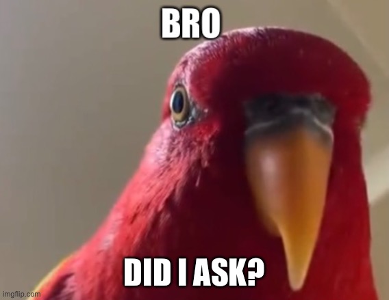 DID I ASK? | made w/ Imgflip meme maker