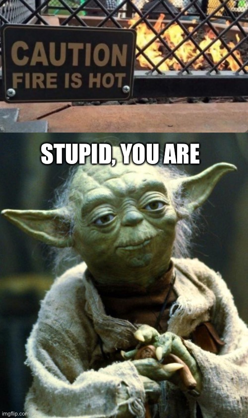 Fire | STUPID, YOU ARE | image tagged in memes,star wars yoda | made w/ Imgflip meme maker