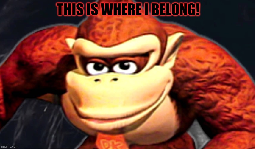 Donkey Kong’s Seducing Face | THIS IS WHERE I BELONG! | image tagged in donkey kong s seducing face | made w/ Imgflip meme maker