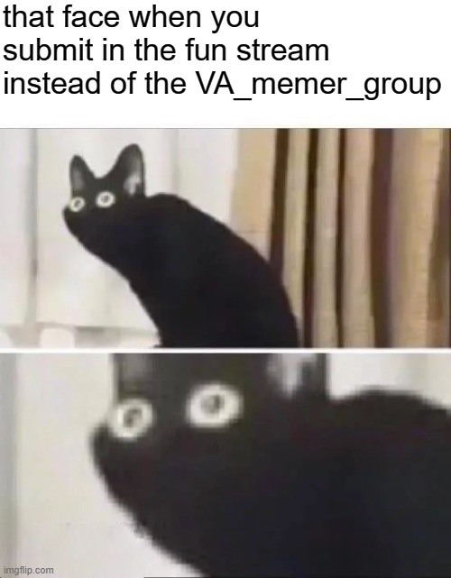 this meme is only for the VA_memer_group | that face when you submit in the fun stream instead of the VA_memer_group | image tagged in oh no black cat,va_memer_group,private | made w/ Imgflip meme maker