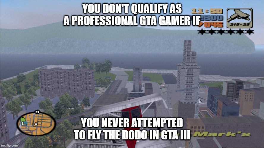 Flying struggles | YOU DON'T QUALIFY AS A PROFESSIONAL GTA GAMER IF; YOU NEVER ATTEMPTED TO FLY THE DODO IN GTA III | image tagged in gta,flying | made w/ Imgflip meme maker