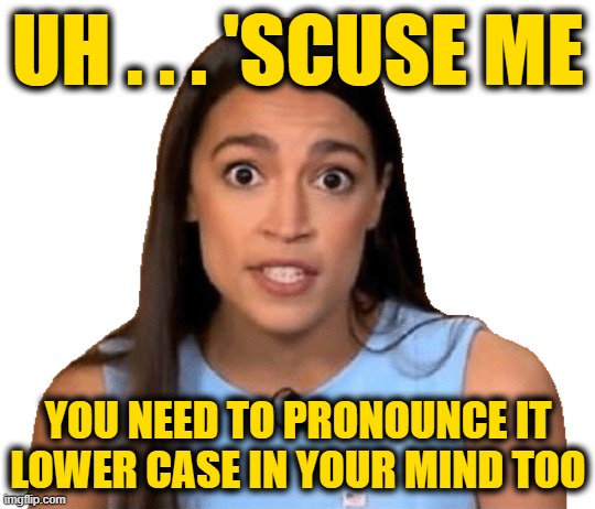 UH . . . 'SCUSE ME YOU NEED TO PRONOUNCE IT LOWER CASE IN YOUR MIND TOO | made w/ Imgflip meme maker