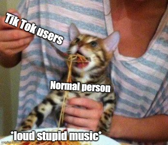 No more Tik Tok | Tik Tok users; Normal person; *loud stupid music* | image tagged in tik tok,loud music,fun | made w/ Imgflip meme maker