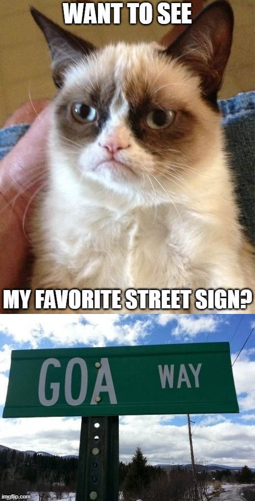 grumpy cat favorite street sign | WANT TO SEE; MY FAVORITE STREET SIGN? | image tagged in memes,grumpy cat | made w/ Imgflip meme maker