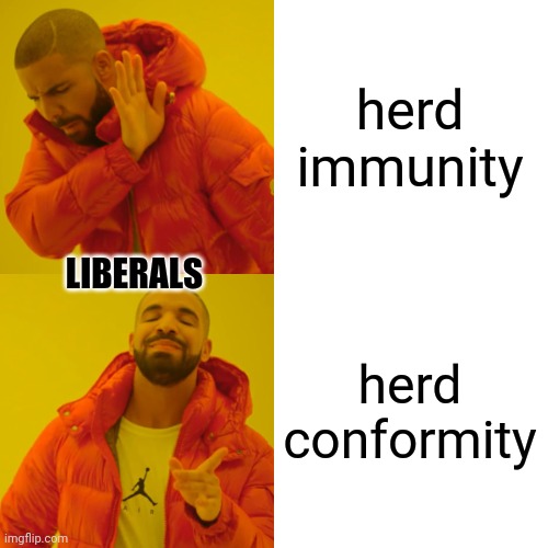 piercing | herd immunity; LIBERALS; herd conformity | image tagged in memes,drake hotline bling,coronavirus | made w/ Imgflip meme maker