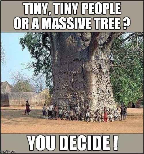 A Question Of Scale ? | TINY, TINY PEOPLE OR A MASSIVE TREE ? YOU DECIDE ! | image tagged in tiny,people,big,tree,question,scale | made w/ Imgflip meme maker
