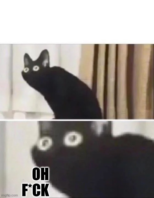Oh No Black Cat | OH F*CK | image tagged in oh no black cat | made w/ Imgflip meme maker