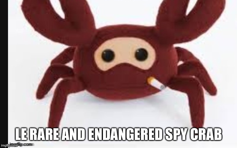 Spycrab | LE RARE AND ENDANGERED SPY CRAB | image tagged in spycrab | made w/ Imgflip meme maker