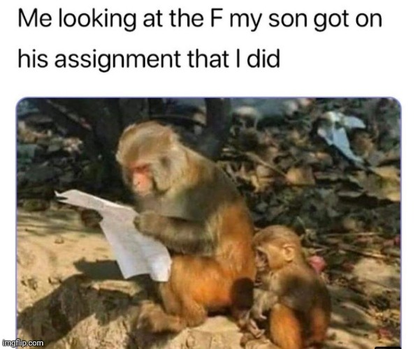 image tagged in funny memes | made w/ Imgflip meme maker