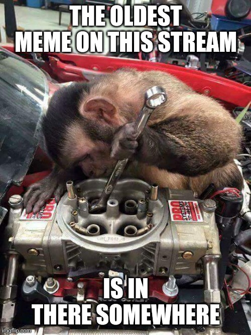 Monkey mechanic | THE OLDEST MEME ON THIS STREAM IS IN THERE SOMEWHERE | image tagged in monkey mechanic | made w/ Imgflip meme maker