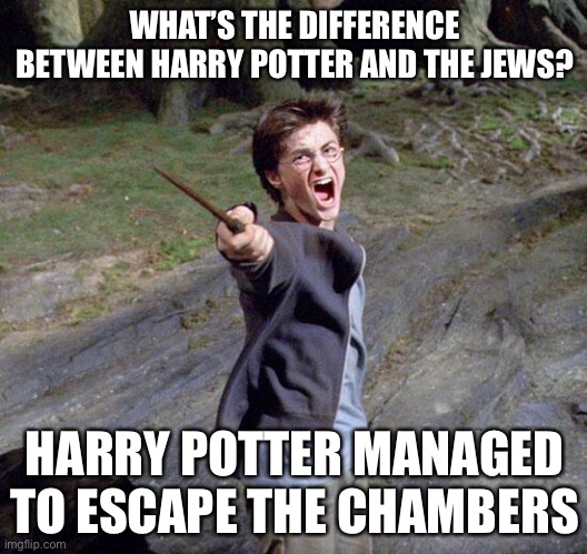ok this is just really fricked up |  WHAT’S THE DIFFERENCE BETWEEN HARRY POTTER AND THE JEWS? HARRY POTTER MANAGED TO ESCAPE THE CHAMBERS | image tagged in harry potter,dark humor,wtf,jews,hitler | made w/ Imgflip meme maker