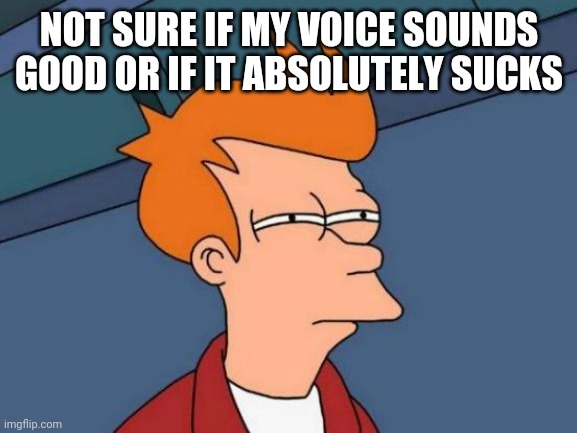 Futurama Fry Meme | NOT SURE IF MY VOICE SOUNDS GOOD OR IF IT ABSOLUTELY SUCKS | image tagged in memes,futurama fry | made w/ Imgflip meme maker