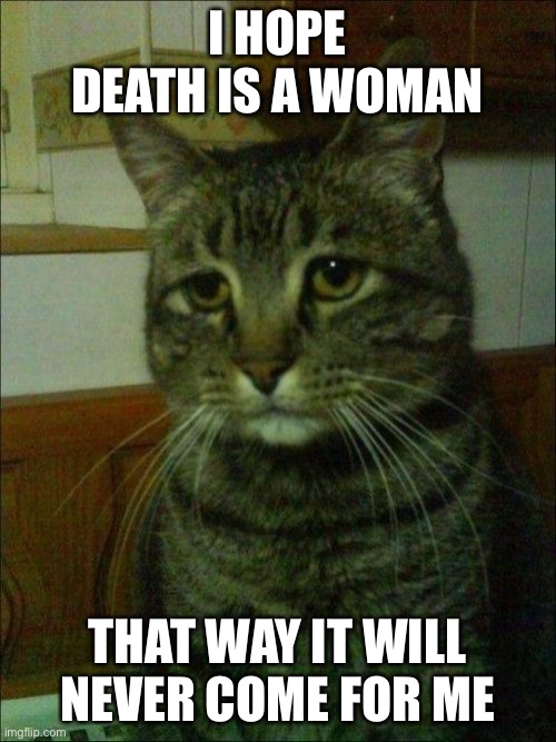 oof lol | I HOPE DEATH IS A WOMAN; THAT WAY IT WILL NEVER COME FOR ME | image tagged in memes,depressed cat | made w/ Imgflip meme maker