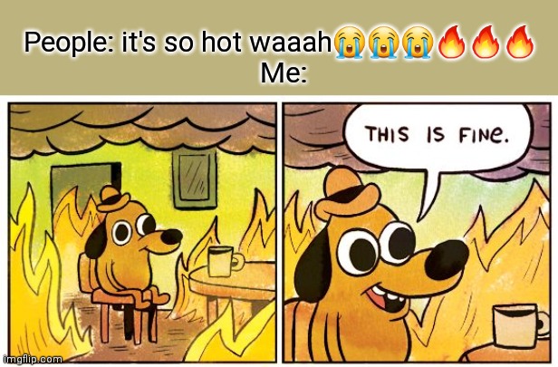 Florida be like | People: it's so hot waaah😭😭😭🔥🔥🔥 
Me: | image tagged in memes,this is fine | made w/ Imgflip meme maker