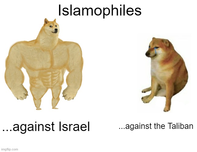 Buff Doge vs. Cheems | Islamophiles; ...against Israel; ...against the Taliban | image tagged in memes,buff doge vs cheems,islam,taliban | made w/ Imgflip meme maker