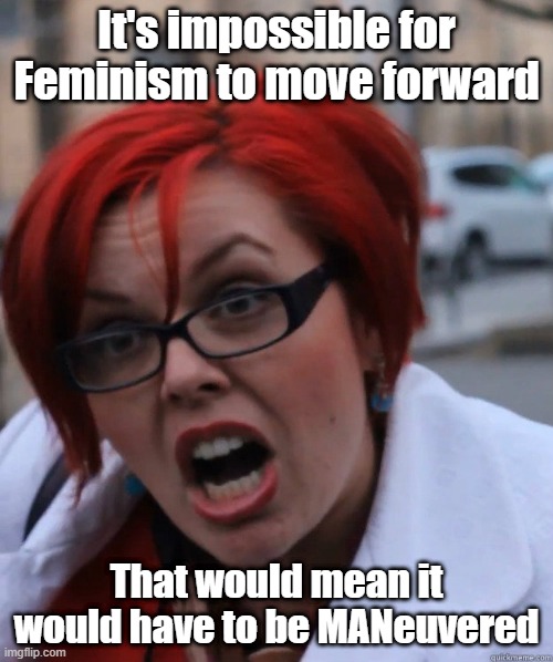 They Need a Man!!! | It's impossible for Feminism to move forward; That would mean it would have to be MANeuvered | image tagged in feminist face | made w/ Imgflip meme maker