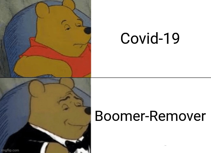 Get them out of the gene pool |  Covid-19; Boomer-Remover | image tagged in tuxedo winnie the pooh,covid-19,covid,wear a mask,ok boomer | made w/ Imgflip meme maker
