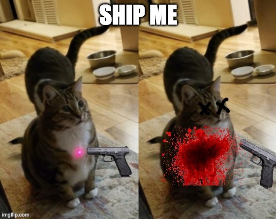 funni | SHIP ME | image tagged in funni | made w/ Imgflip meme maker