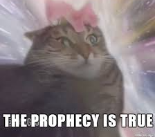 High Quality The prophecy is true cat Blank Meme Template