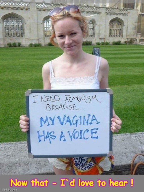 "I need feminism !" | image tagged in what are you talking about | made w/ Imgflip meme maker