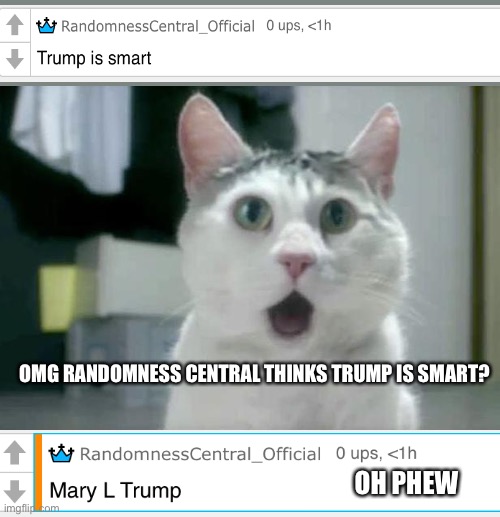 Since everyone’s doing the omg thing | OMG RANDOMNESS CENTRAL THINKS TRUMP IS SMART? OH PHEW | image tagged in memes,omg cat | made w/ Imgflip meme maker