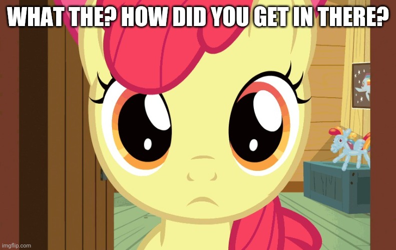 Confused Applebloom (MLP) | WHAT THE? HOW DID YOU GET IN THERE? | image tagged in confused applebloom mlp | made w/ Imgflip meme maker