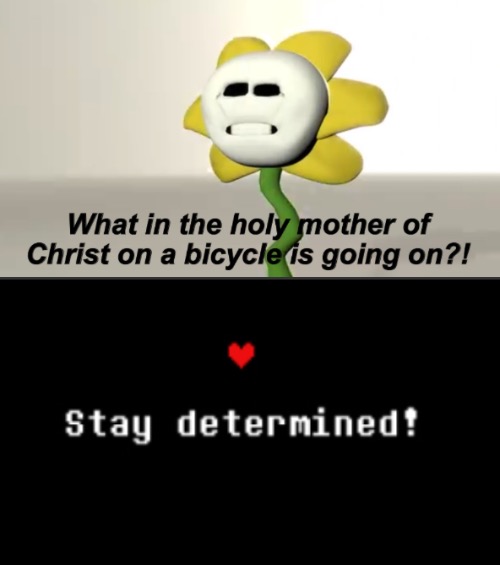 image tagged in flowey,stay determined | made w/ Imgflip meme maker