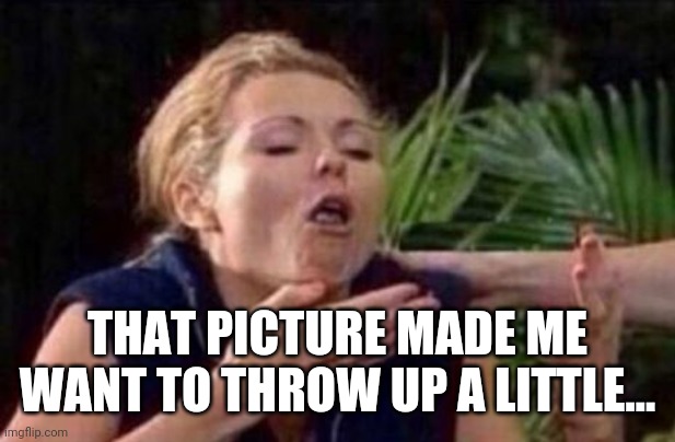 About to Puke | THAT PICTURE MADE ME WANT TO THROW UP A LITTLE... | image tagged in about to puke | made w/ Imgflip meme maker