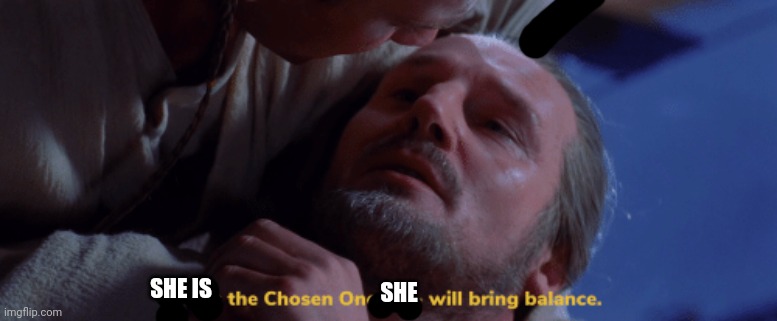 he is the chosen one | SHE IS SHE | image tagged in he is the chosen one | made w/ Imgflip meme maker