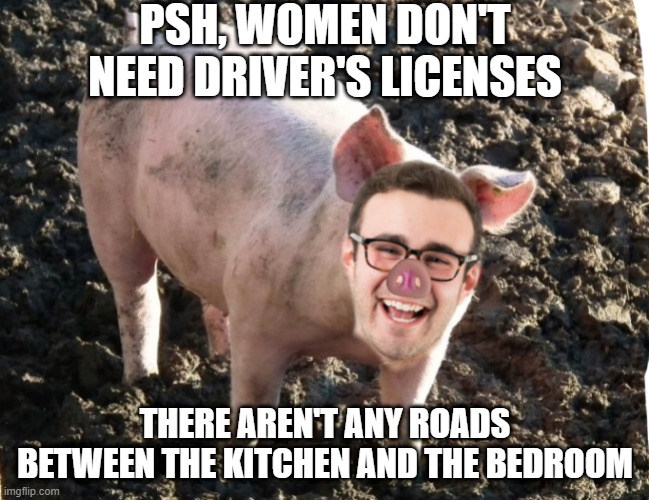 No Need to Drive | PSH, WOMEN DON'T NEED DRIVER'S LICENSES; THERE AREN'T ANY ROADS BETWEEN THE KITCHEN AND THE BEDROOM | image tagged in sexist man pig | made w/ Imgflip meme maker