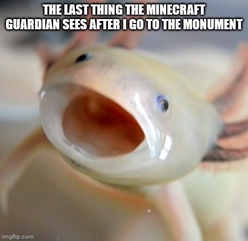 Axolotl  | THE LAST THING THE MINECRAFT GUARDIAN SEES AFTER I GO TO THE MONUMENT | image tagged in axolotl,minecraft | made w/ Imgflip meme maker