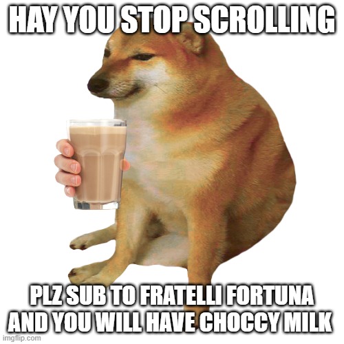 cheems | HAY YOU STOP SCROLLING; PLZ SUB TO FRATELLI FORTUNA AND YOU WILL HAVE CHOCCY MILK | image tagged in cheems | made w/ Imgflip meme maker
