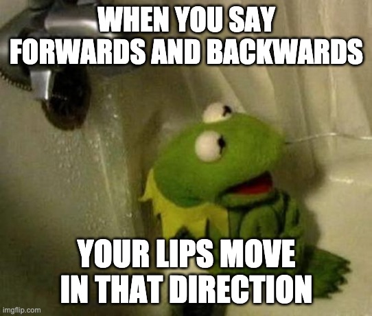 Kermit on Shower |  WHEN YOU SAY FORWARDS AND BACKWARDS; YOUR LIPS MOVE IN THAT DIRECTION | image tagged in kermit on shower | made w/ Imgflip meme maker