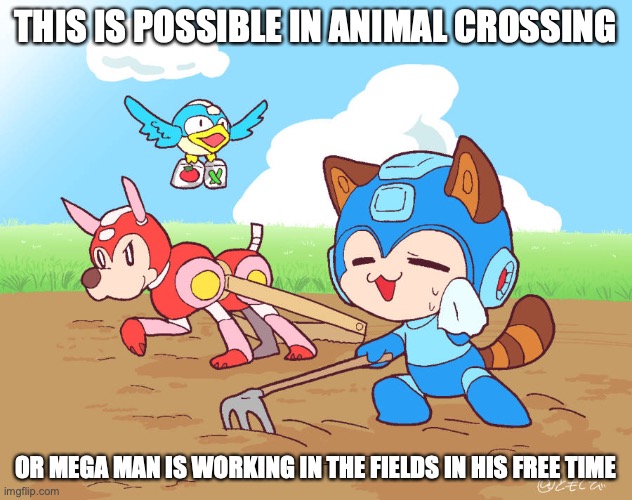 Mega Man in the Fields | THIS IS POSSIBLE IN ANIMAL CROSSING; OR MEGA MAN IS WORKING IN THE FIELDS IN HIS FREE TIME | image tagged in megaman,memes | made w/ Imgflip meme maker