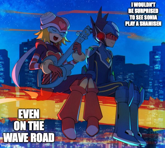 Geo and Sonia on the Wave Road | I WOULDN'T BE SURPRISED TO SEE SONIA PLAY A SHAMISEN; EVEN ON THE WAVE ROAD | image tagged in megaman,megaman star force,geo stelar,sonia strumm,memes | made w/ Imgflip meme maker