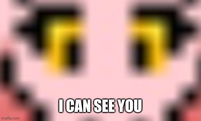 I CAN SEE YOU | made w/ Imgflip meme maker
