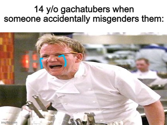 IM NOT SAYING LGBTQ IS BAD! its just that they tend get a bit over dramatic about an ACCIDENT | 14 y/o gachatubers when someone accidentally misgenders them: | image tagged in 14 y/o girls,gacha life,lgbtq,angry chef gordon ramsay | made w/ Imgflip meme maker