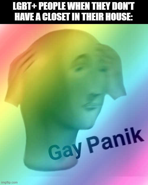 OH NO WHERE DO I HIDE | LGBT+ PEOPLE WHEN THEY DON'T HAVE A CLOSET IN THEIR HOUSE: | image tagged in gay panik | made w/ Imgflip meme maker