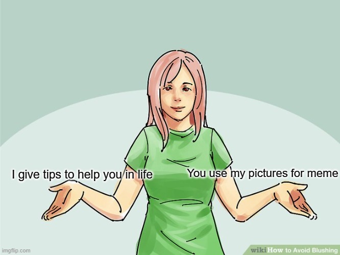 Choose with wikihow | You use my pictures for meme; I give tips to help you in life | image tagged in funny | made w/ Imgflip meme maker