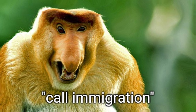 I'll take your entire stock - polish version | "call immigration" | image tagged in i'll take your entire stock - polish version | made w/ Imgflip meme maker