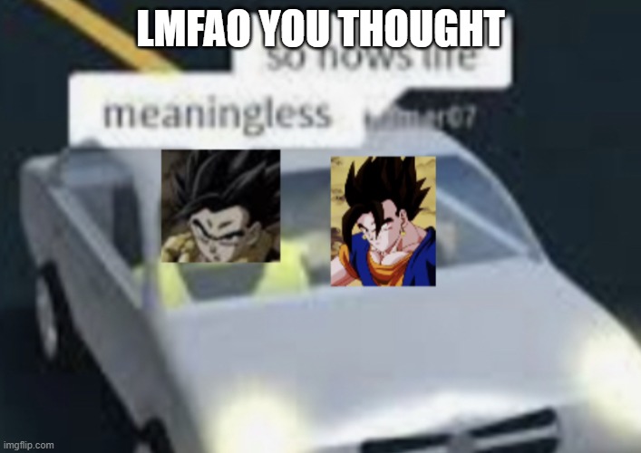 Vegito and Gogeta | LMFAO YOU THOUGHT | image tagged in vegito and gogeta | made w/ Imgflip meme maker