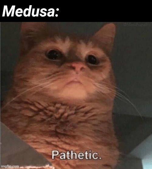 Pathetic Cat | Medusa: | image tagged in pathetic cat | made w/ Imgflip meme maker