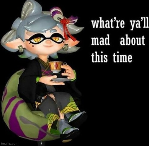 Splatoon Shit posts for your Soul | image tagged in what are y'all mad about this time | made w/ Imgflip meme maker