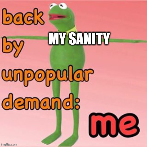 MY SANITY | made w/ Imgflip meme maker