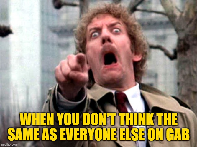 Invasion of the Gabbers | WHEN YOU DON'T THINK THE SAME AS EVERYONE ELSE ON GAB | image tagged in donald sutherland invasion of the body snatchers,social media,so true,lol so funny,funny memes,movies | made w/ Imgflip meme maker