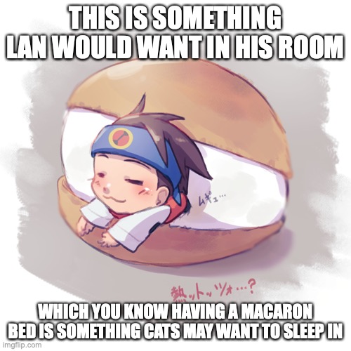 Lan in Macaron Bed | THIS IS SOMETHING LAN WOULD WANT IN HIS ROOM; WHICH YOU KNOW HAVING A MACARON BED IS SOMETHING CATS MAY WANT TO SLEEP IN | image tagged in bed,lan hikari,megaman,megaman battle network,memes | made w/ Imgflip meme maker